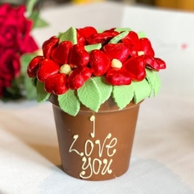 Red Chocolate Smash Flower Pot