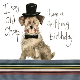 Posh Paws Border Terrier dog Birthday Card